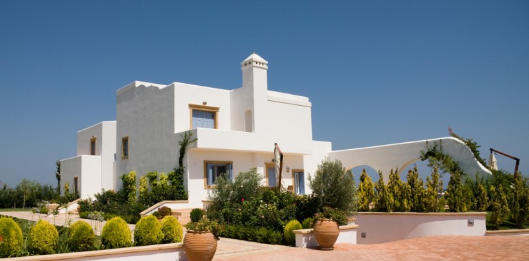 Etiam commodo convallis